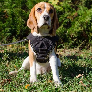 Нейлоновая ездовая шлейка для собак «Tractive Force»